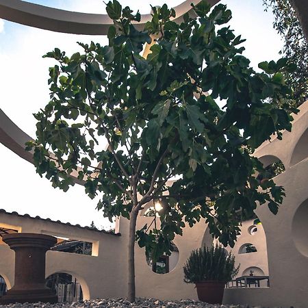 טרייר Hotel Schuetz מראה חיצוני תמונה